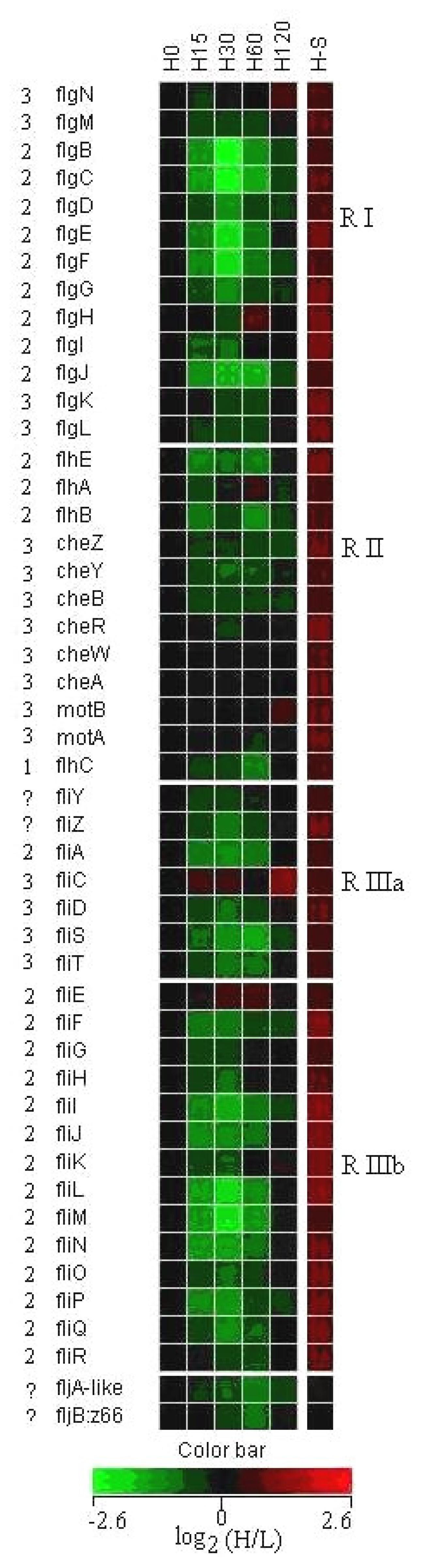 Ijms 08 00116f4