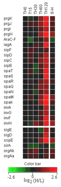 Ijms 08 00116f5 200