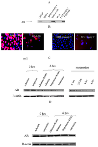 Ijms 08 00156f1 200