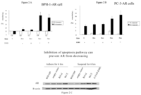 Ijms 08 00156f2 200