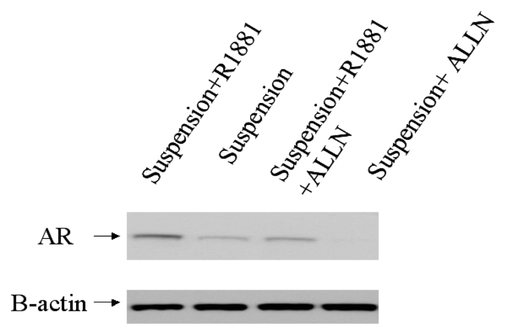 Ijms 08 00156f3 1024