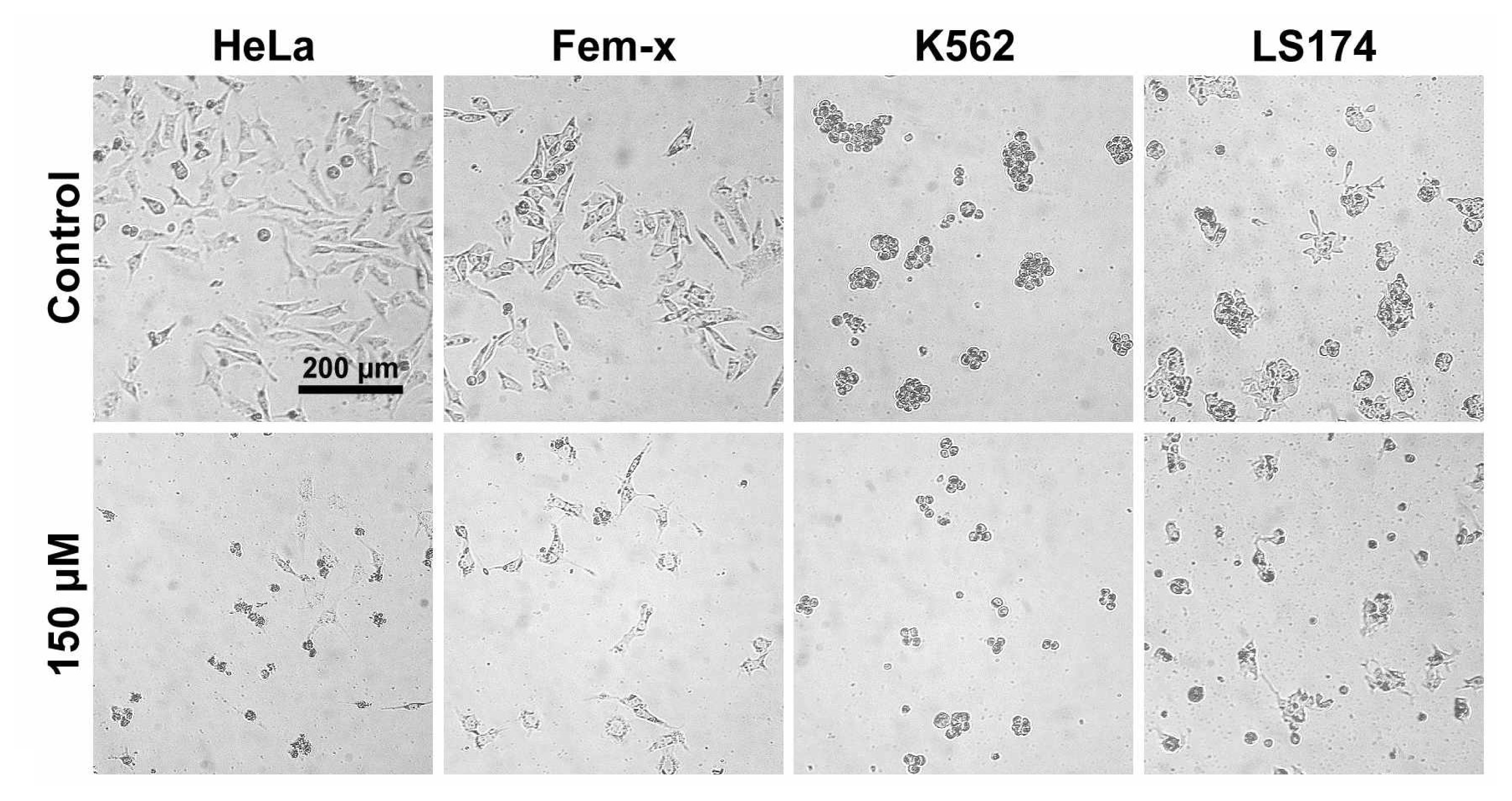 Ijms 08 00214f1