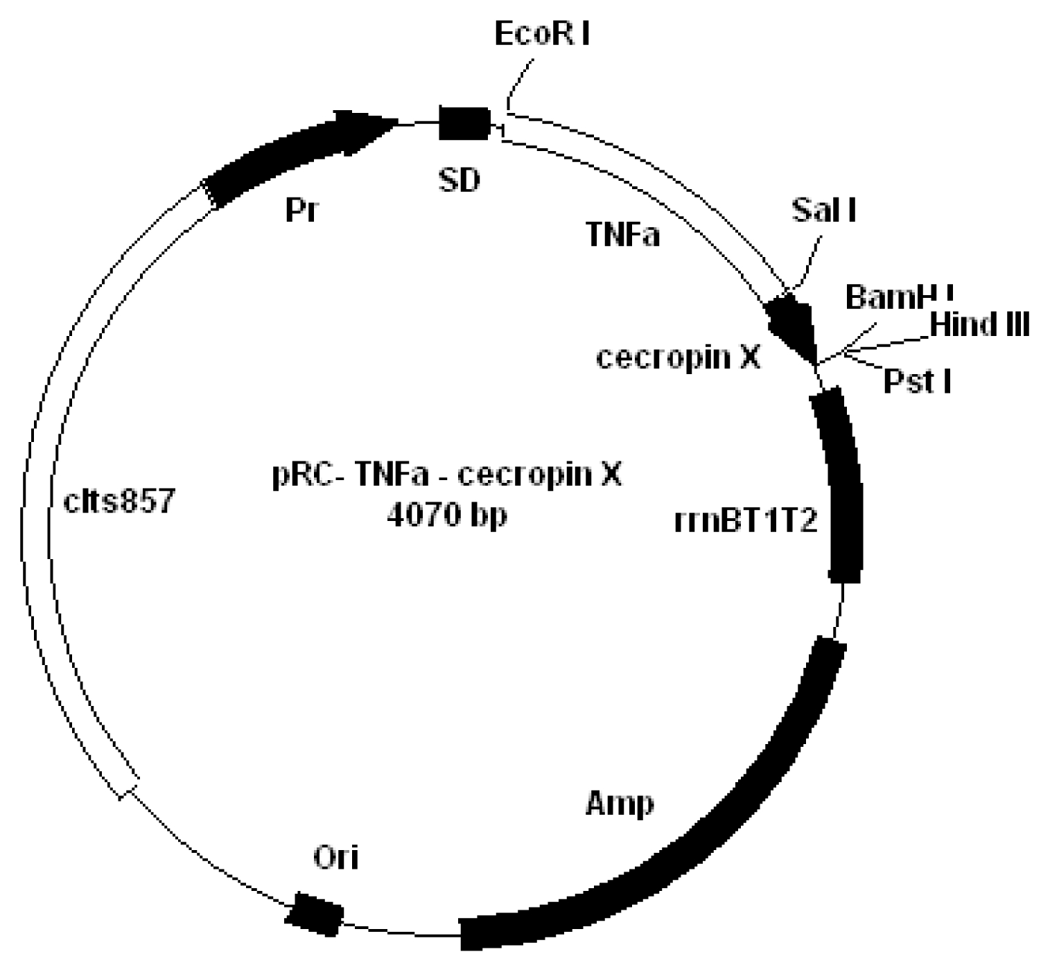 Ijms 08 00478f1