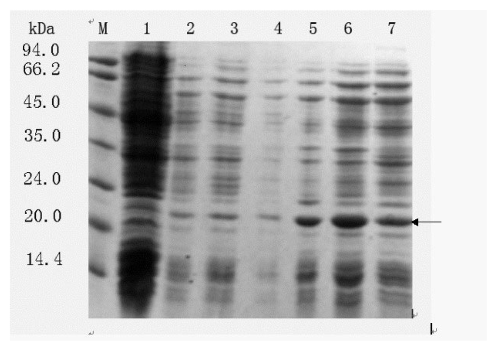 Ijms 08 00478f2 1024