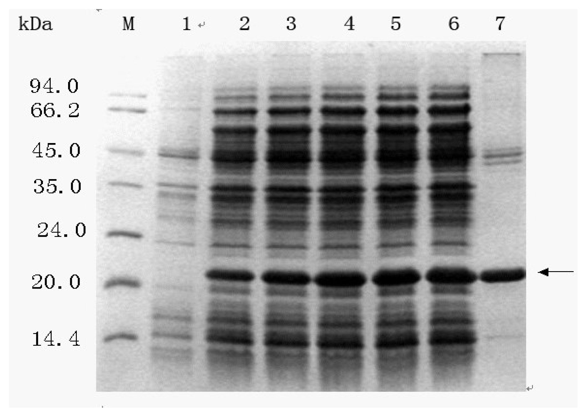 Ijms 08 00478f4