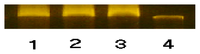 Ijms 08 00564f2 200