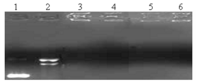 Ijms 08 00606f3 200