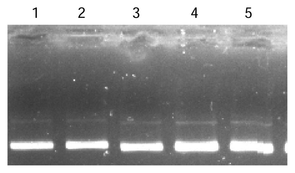 Ijms 08 00606f4 1024