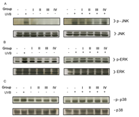 Ijms 08 00651f3 200