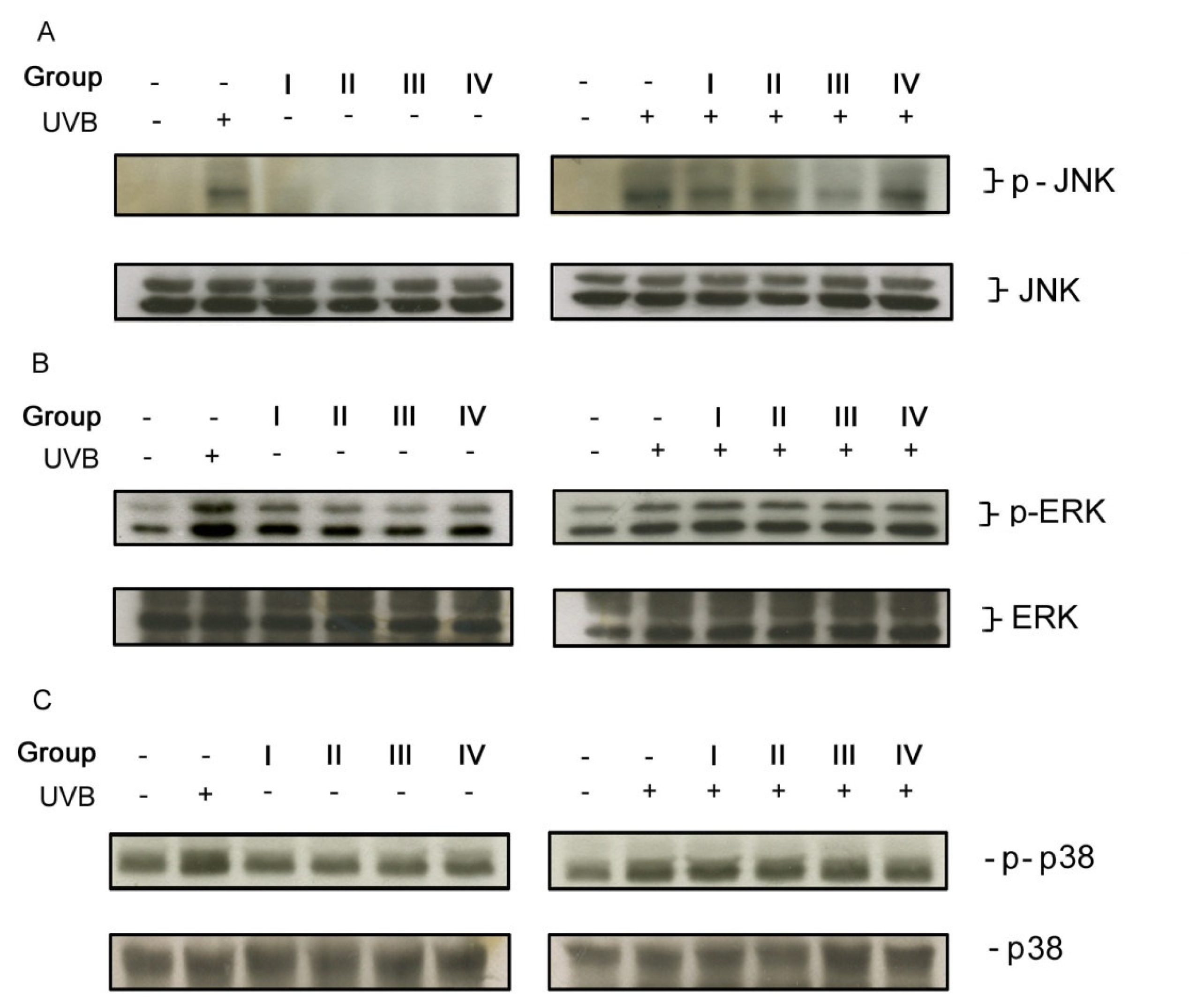 Ijms 08 00651f3