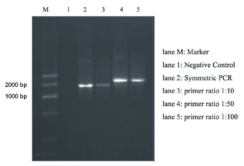 Ijms 08 00705f1 1024
