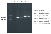Ijms 08 00705f1 200