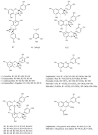 Ijms 08 00797f1 200