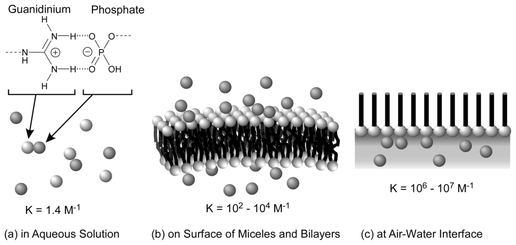 Ijms 08 00864f1 1024