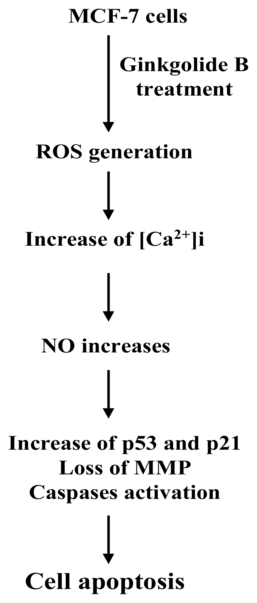 Ijms 08 01177f8 1024