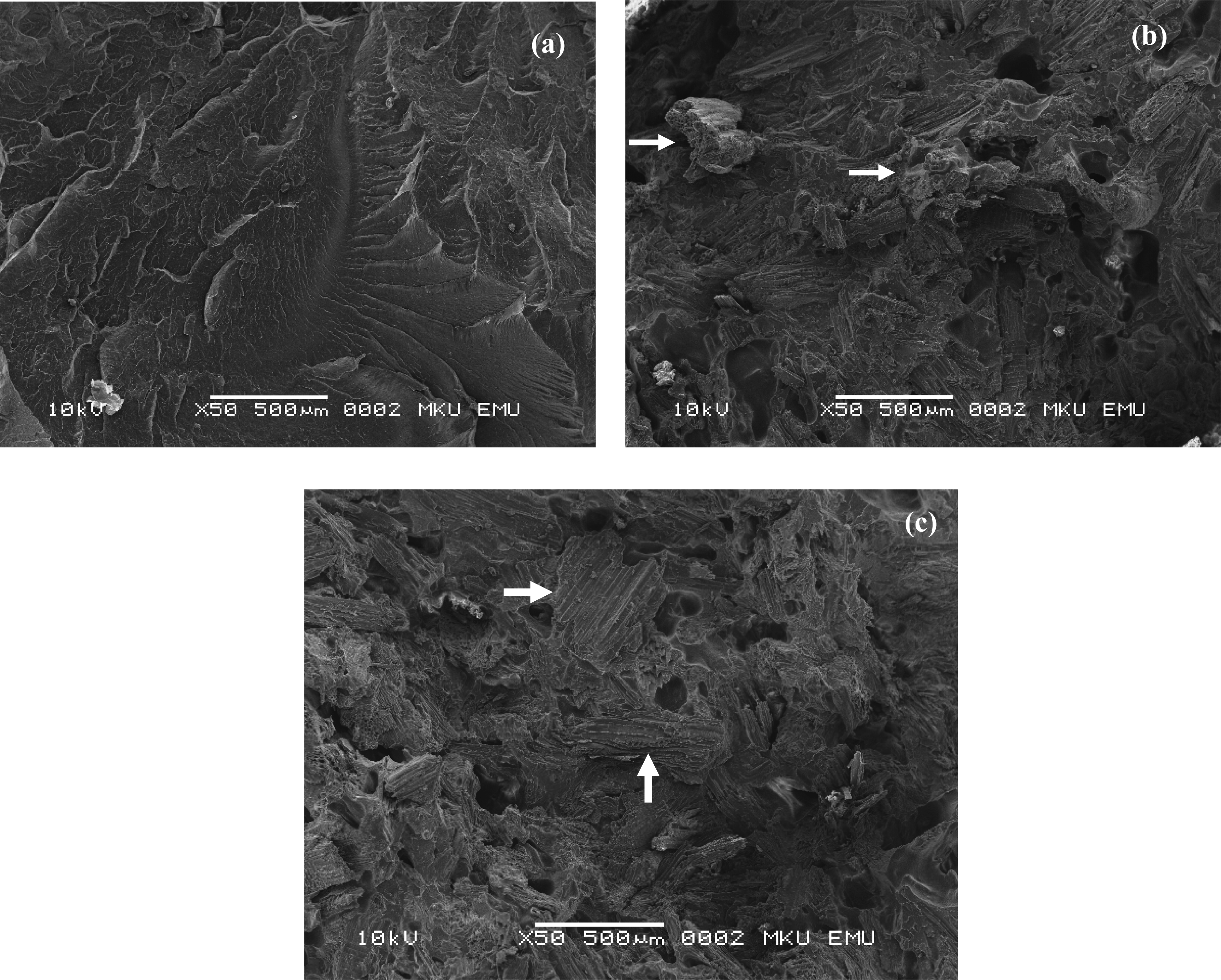 Ijms 09 00107 f4