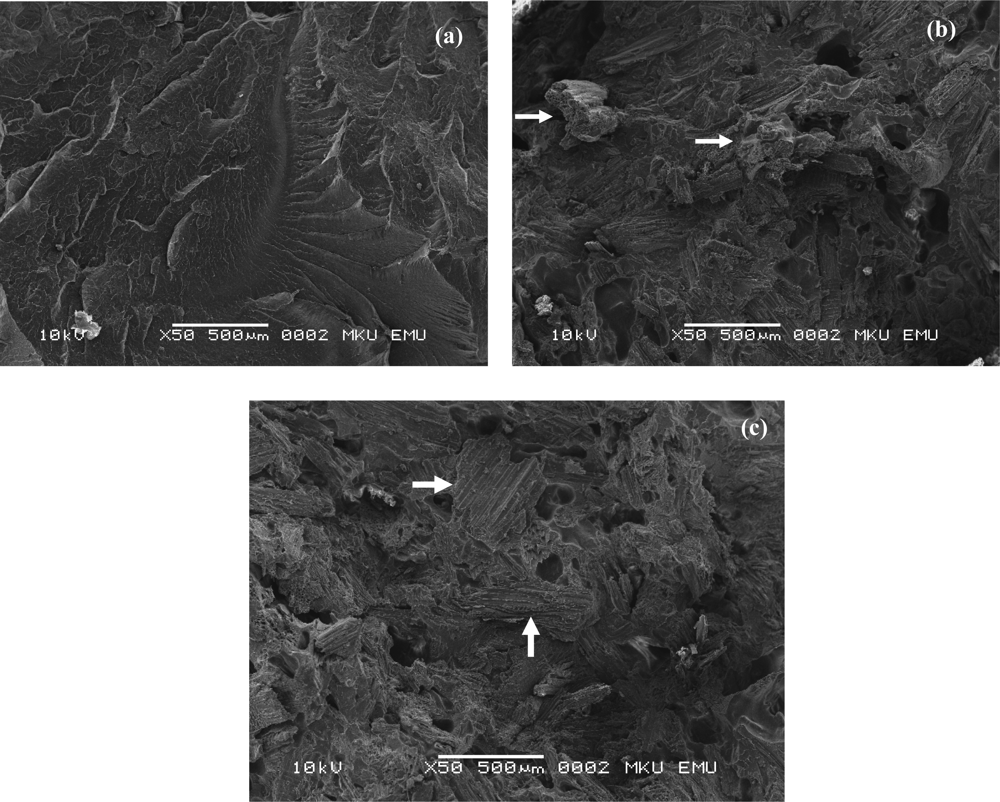Ijms 09 00107f4 1024
