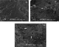 Ijms 09 00107f4 200