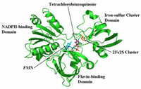 Ijms 09 00198f8 200