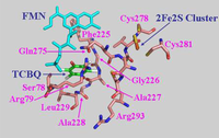 Ijms 09 00198f9 200