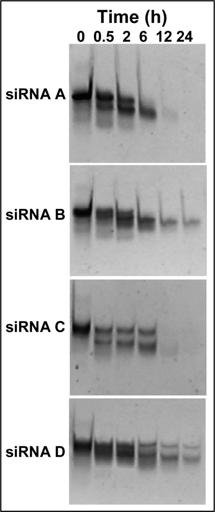 Ijms 09 00299f5 1024