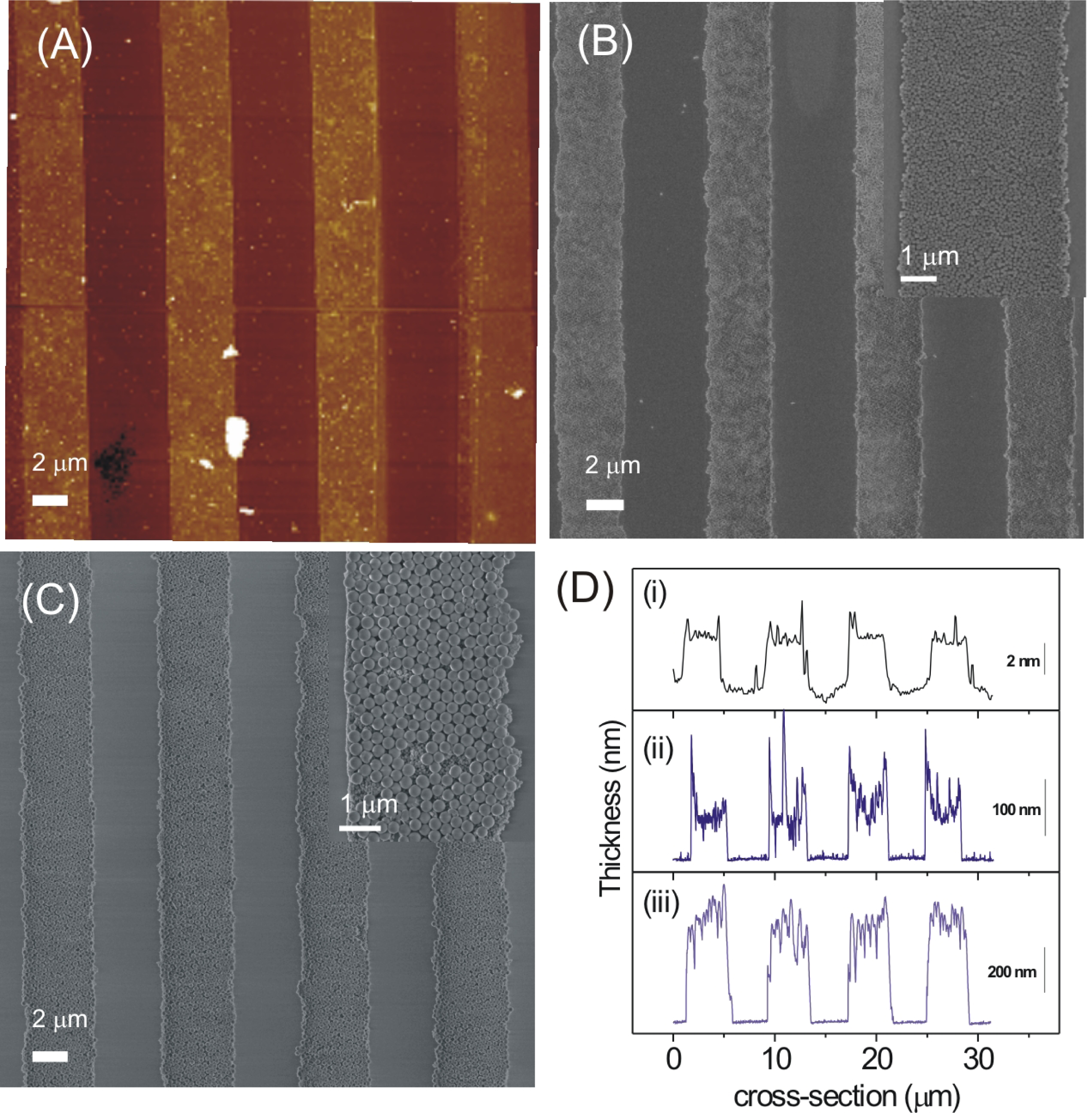 Ijms 09 00486 f2