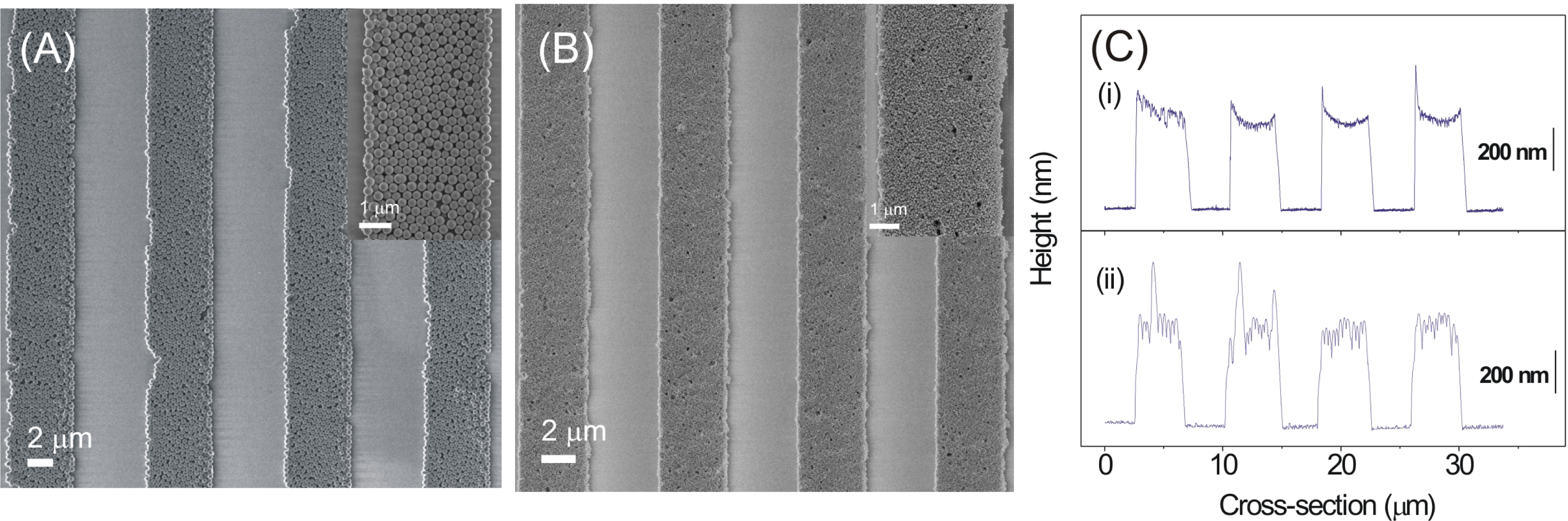 Ijms 09 00486 f3