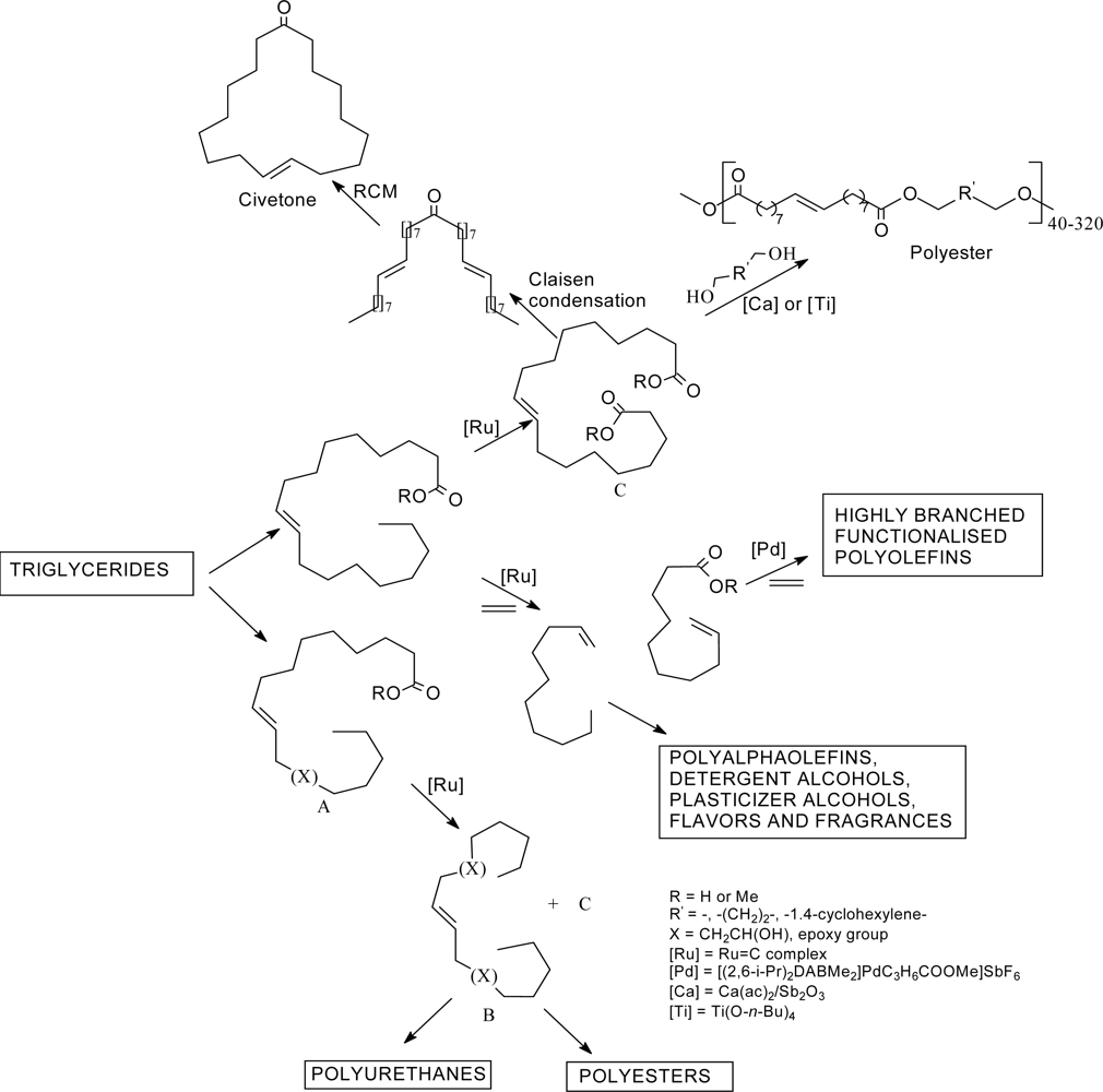 Metathesis reactions of fatty acid esters