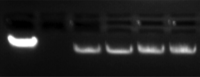 Ijms 09 00662f1 200