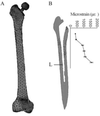 Ijms 09 02322f1 200