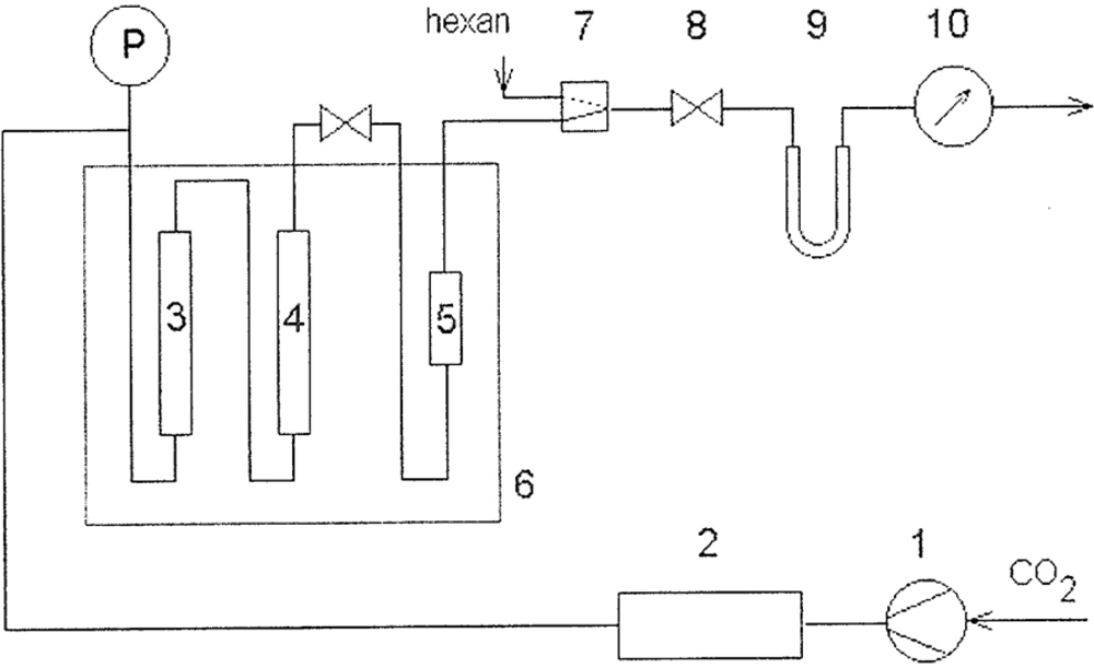 progress in ultrafast intense