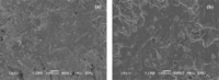Ijms 09 02559f2 200