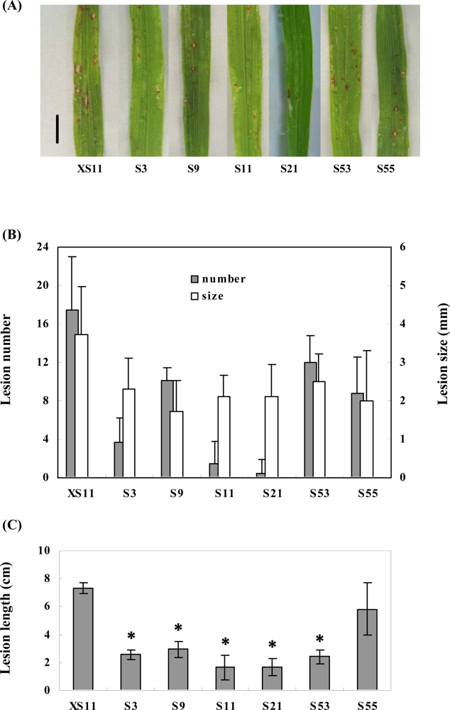 download natural environmental change