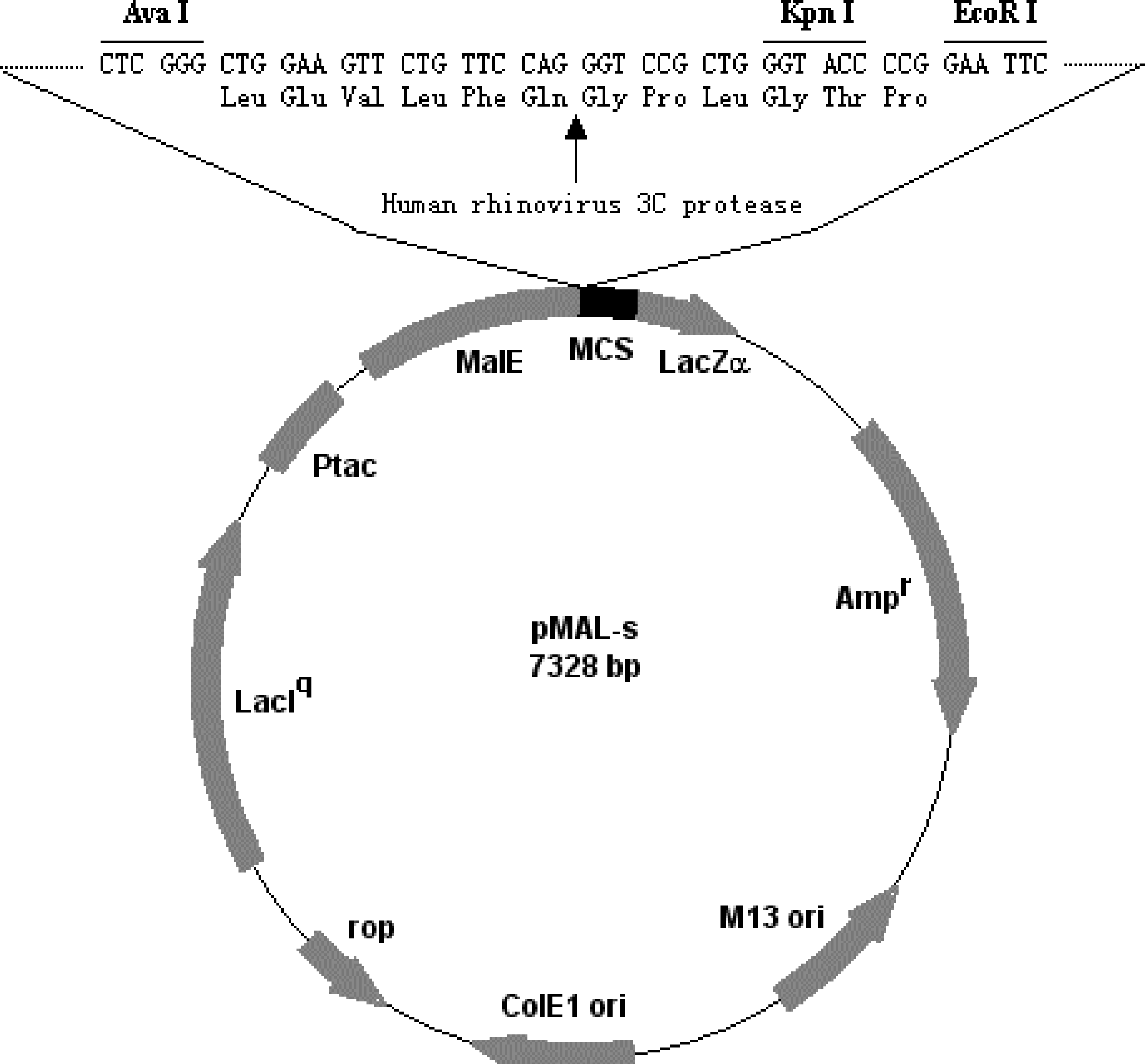 Ijms 10 00028f1