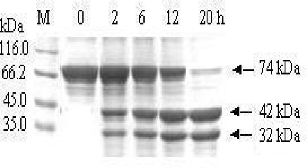 Ijms 10 00028f3 1024