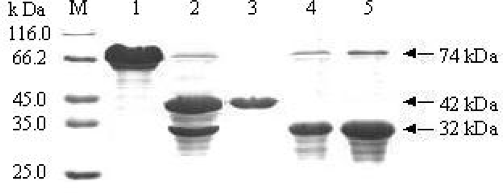 Ijms 10 00028f4 1024