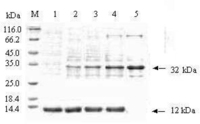 Ijms 10 00028f5 200