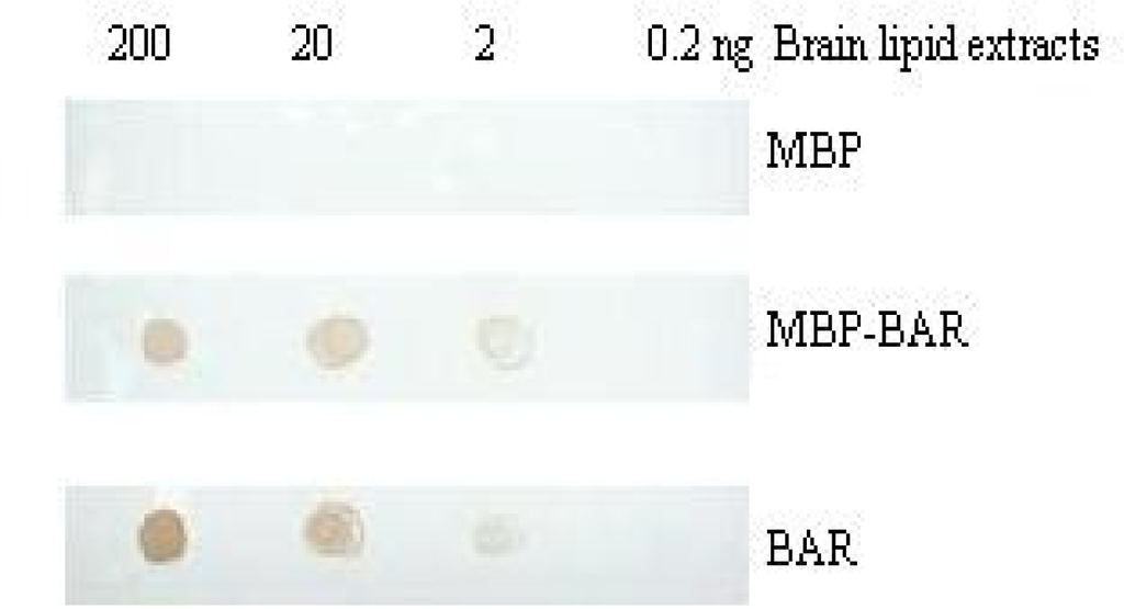 Ijms 10 00028f6 1024