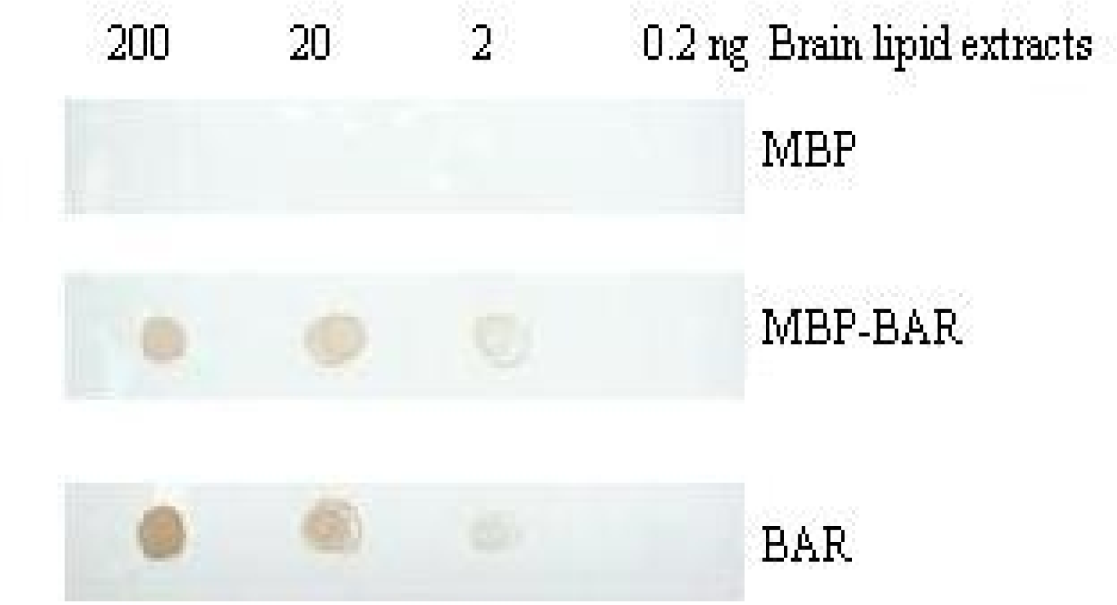 Ijms 10 00028f6
