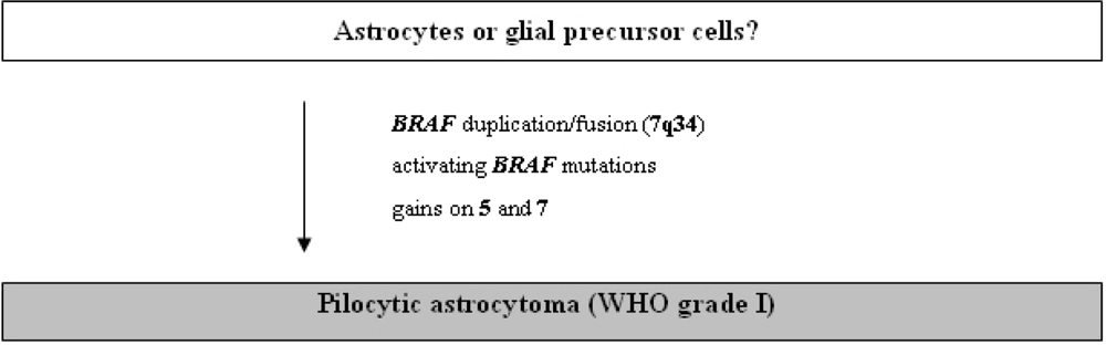 Ijms 10 00184f2 1024
