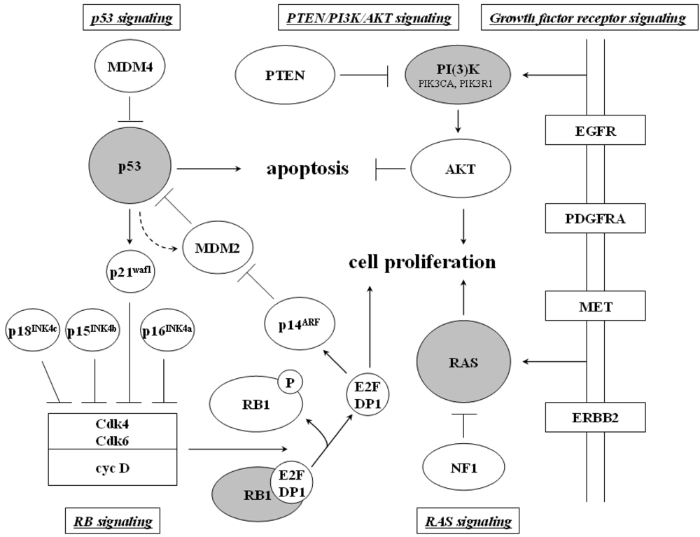 Ijms 10 00184f6 1024