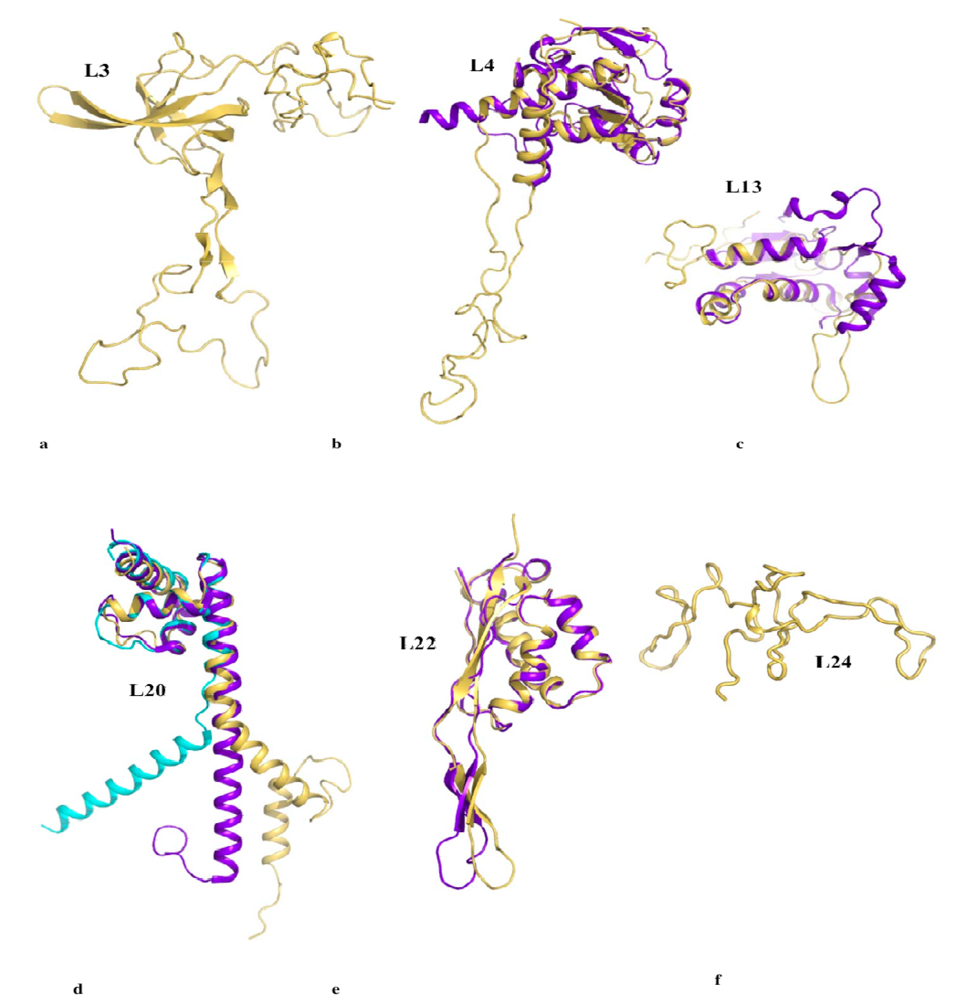 Ijms 10 00817f2 1024