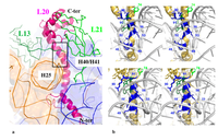 Ijms 10 00817f4 200