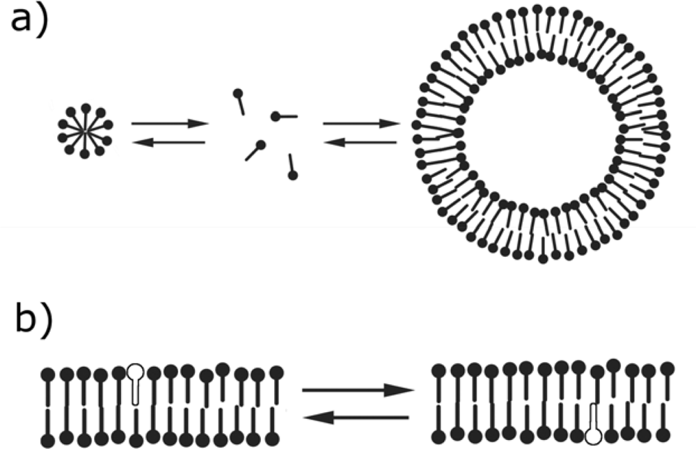 Ijms 10 00835f2 1024