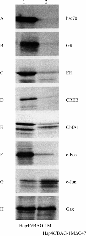 Ijms 10 00906f3