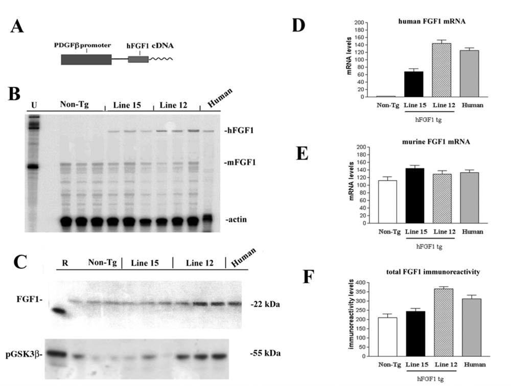 Ijms 10 01045f2
