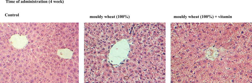 Ijms 10 01138f6 1024