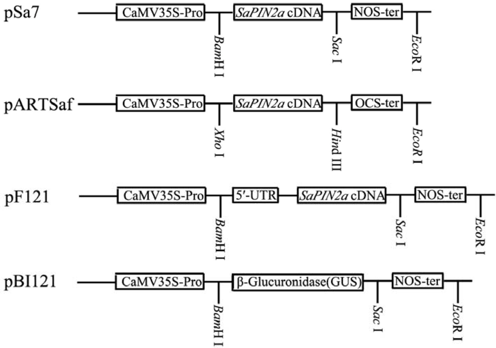Ijms 10 01896f1