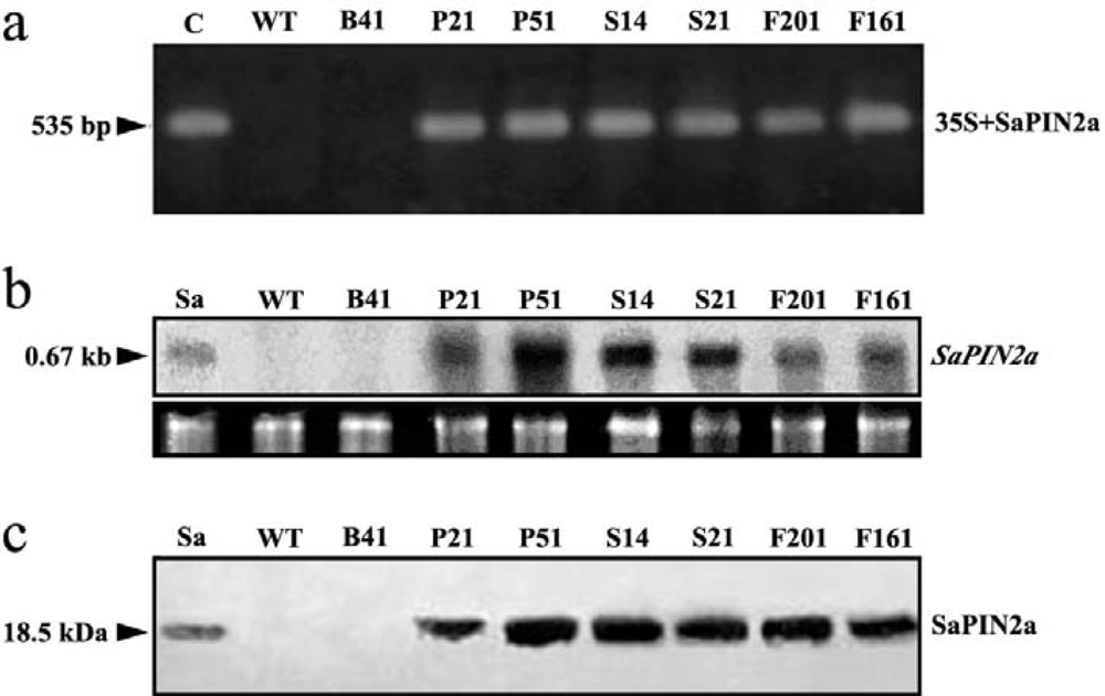 Ijms 10 01896f2 1024