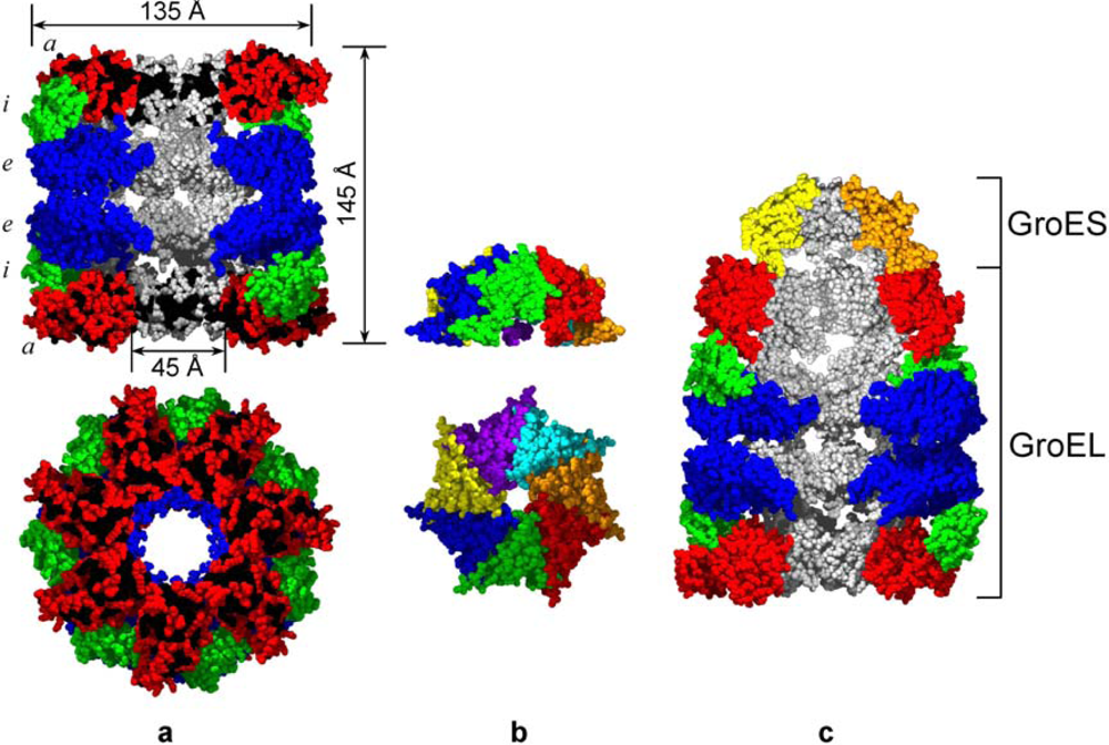Ijms 10 02066f1